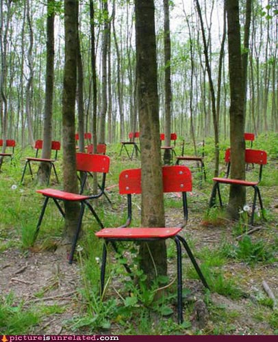 wtf-pics-chair-trees.jpg