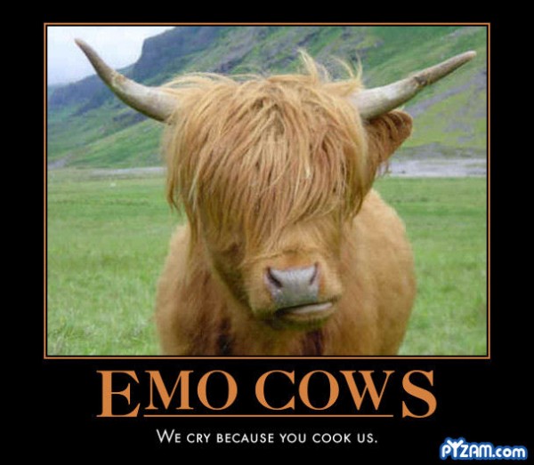 emocow.jpg