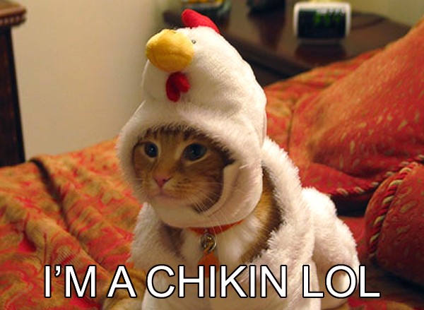 im-a-chikin-lol[1].jpg